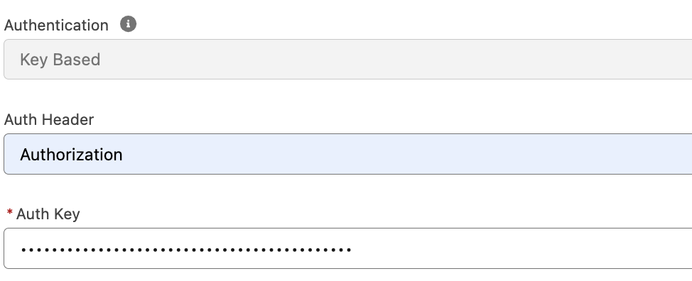 AI Models auth fields